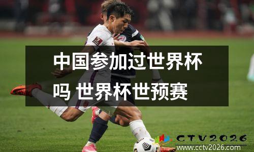 中国参加过世界杯吗 世界杯世预赛