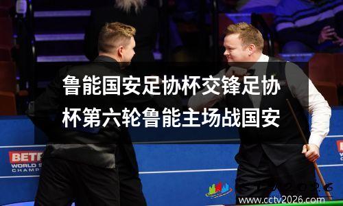 鲁能国安足协杯交锋足协杯第六轮鲁能主场战国安