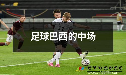 足球巴西的中场