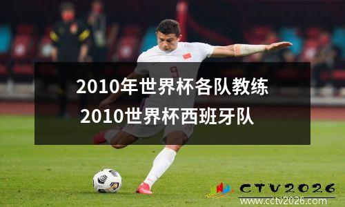 2010年世界杯各队教练 2010世界杯西班牙队
