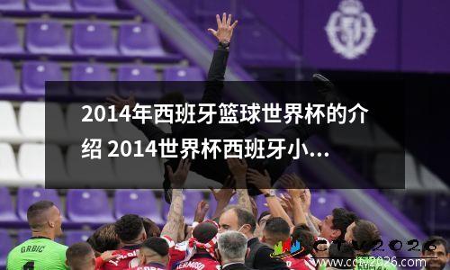 2014年西班牙篮球世界杯的介绍 2014世界杯西班牙小组赛
