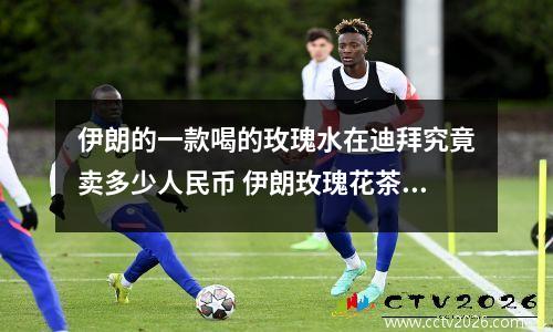 伊朗的一款喝的玫瑰水在迪拜究竟卖多少人民币 伊朗玫瑰花茶照片