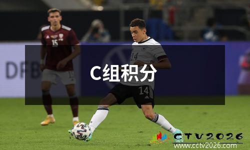 C组积分