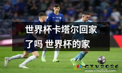 世界杯卡塔尔回家了吗 世界杯的家
