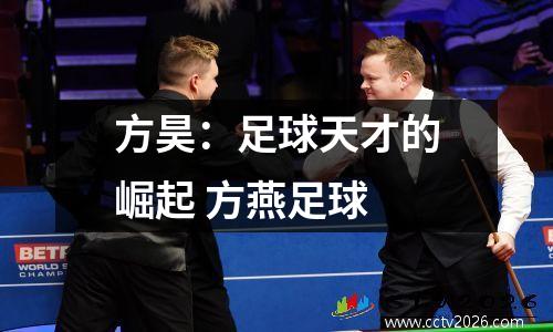 方昊：足球天才的崛起 方燕足球