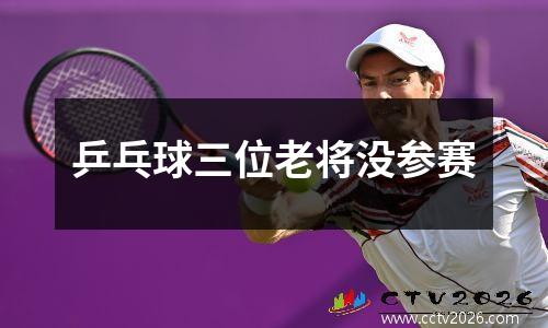 乒乓球三位老将没参赛
