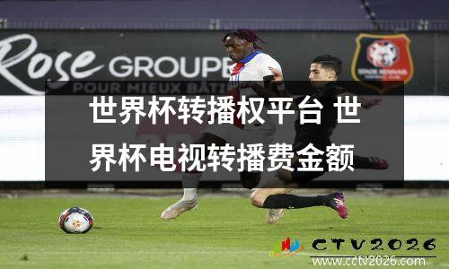 世界杯转播权平台 世界杯电视转播费金额