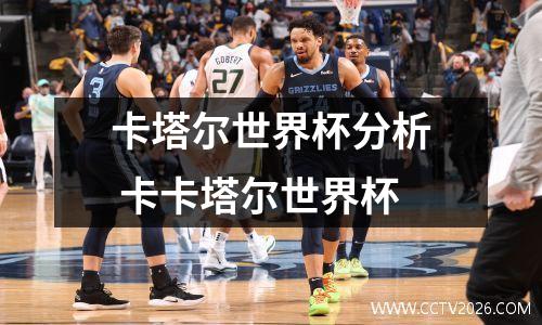 卡塔尔世界杯分析 卡卡塔尔世界杯