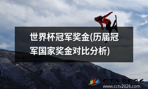 世界杯冠军奖金(历届冠军国家奖金对比分析)