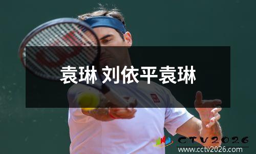 袁琳 刘依平袁琳
