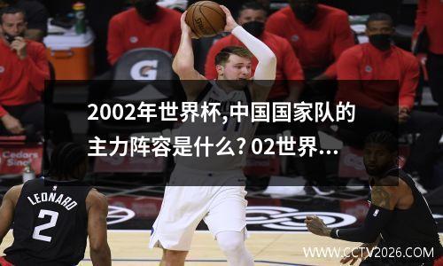 2002年世界杯,中国国家队的主力阵容是什么? 02世界杯 中国队