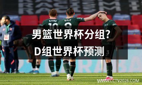 男篮世界杯分组? D组世界杯预测
