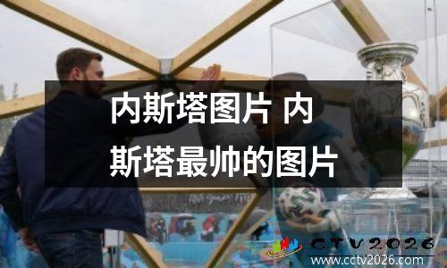 内斯塔图片 内斯塔最帅的图片