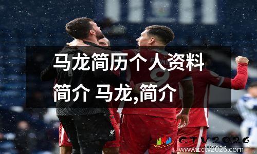 马龙简历个人资料简介 马龙,简介