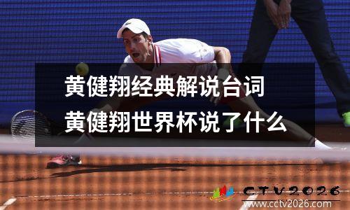 黄健翔经典解说台词 黄健翔世界杯说了什么