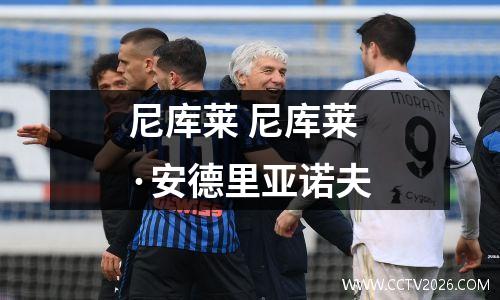 尼库莱 尼库莱·安德里亚诺夫