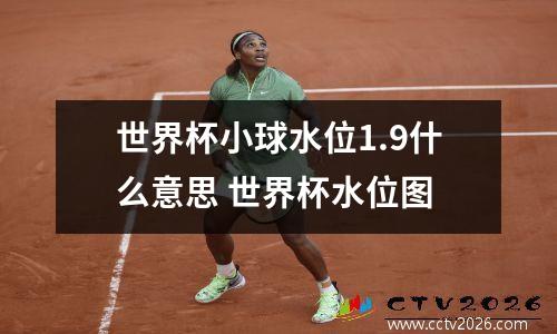 世界杯小球水位1.9什么意思 世界杯水位图