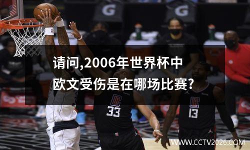 请问,2006年世界杯中欧文受伤是在哪场比赛?