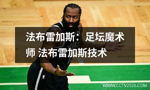 法布雷加斯：足坛魔术师 法布雷加斯技术