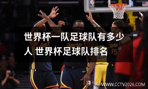 世界杯一队足球队有多少人 世界杯足球队排名
