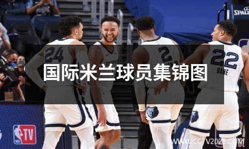 国际米兰球员集锦图