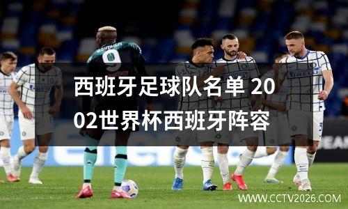 西班牙足球队名单 2002世界杯西班牙阵容