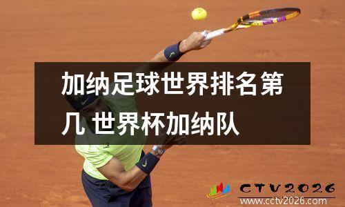 加纳足球世界排名第几 世界杯加纳队