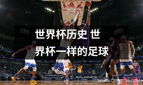 世界杯历史 世界杯一样的足球