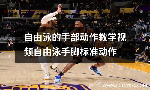 自由泳的手部动作教学视频自由泳手脚标准动作