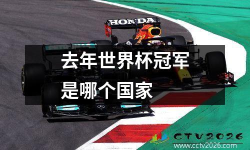 去年世界杯冠军是哪个国家