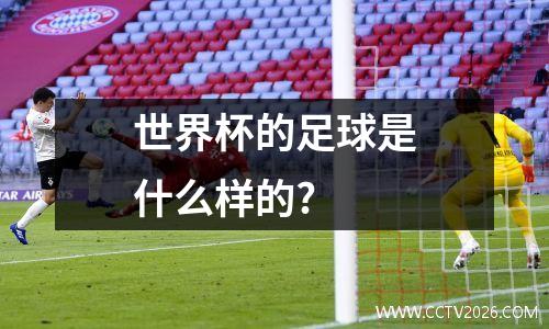 世界杯的足球是什么样的?