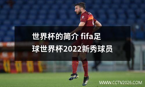 世界杯的简介 fifa足球世界杯2022新秀球员