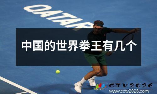 中国的世界拳王有几个
