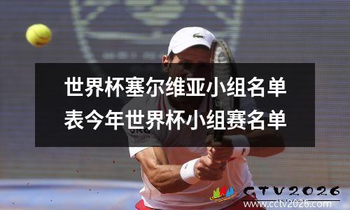 世界杯塞尔维亚小组名单表今年世界杯小组赛名单