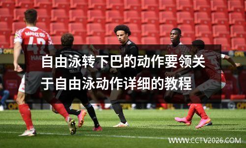 自由泳转下巴的动作要领关于自由泳动作详细的教程