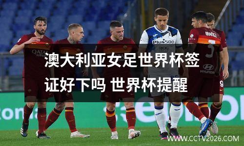 澳大利亚女足世界杯签证好下吗 世界杯提醒
