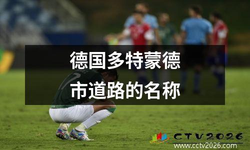 德国多特蒙德市道路的名称