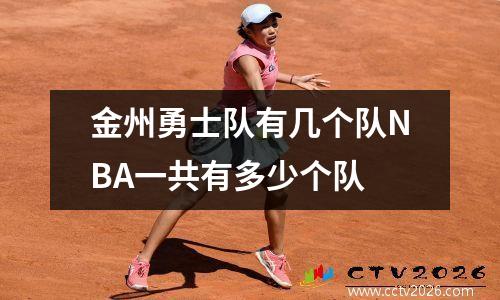 金州勇士队有几个队NBA一共有多少个队