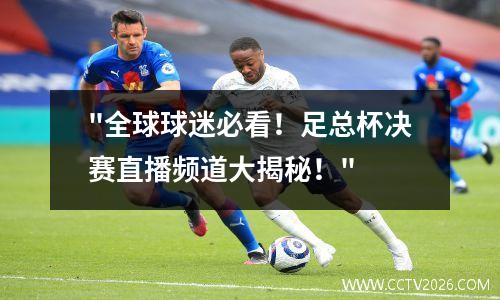 "全球球迷必看！足总杯决赛直播频道大揭秘！"