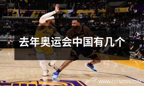 去年奥运会中国有几个