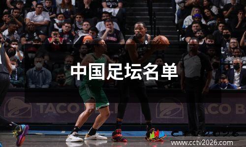 中国足坛名单