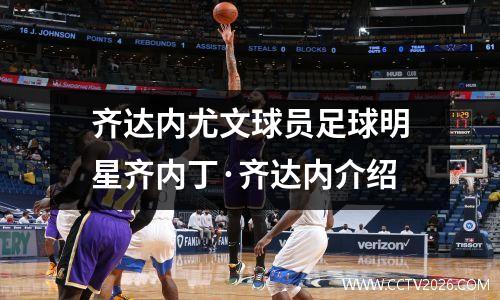 齐达内尤文球员足球明星齐内丁·齐达内介绍