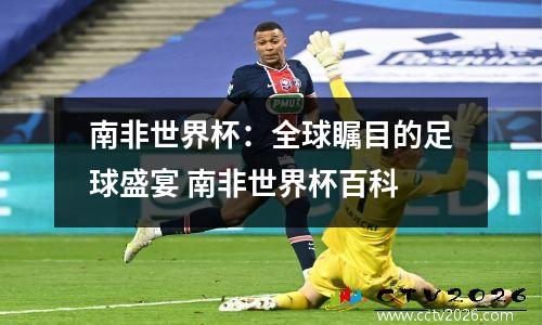 南非世界杯：全球瞩目的足球盛宴 南非世界杯百科