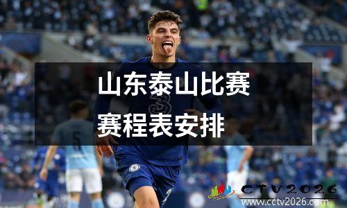 山东泰山比赛赛程表安排