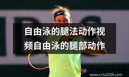 自由泳的腿法动作视频自由泳的腿部动作