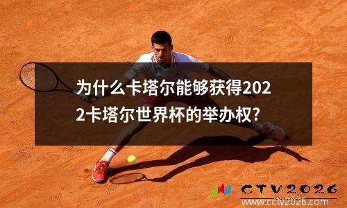 为什么卡塔尔能够获得2022卡塔尔世界杯的举办权?
