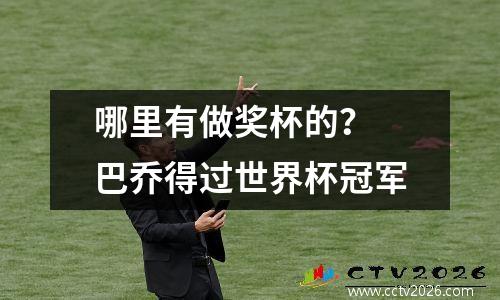 哪里有做奖杯的？ 巴乔得过世界杯冠军