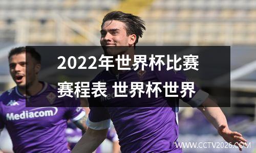 2022年世界杯比赛赛程表 世界杯世界