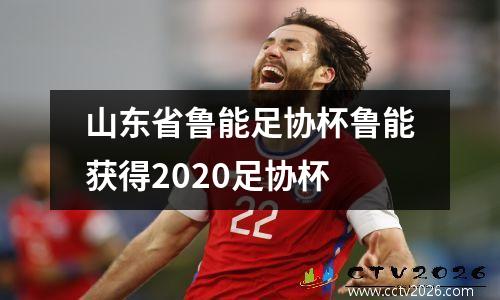 山东省鲁能足协杯鲁能获得2020足协杯