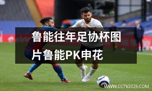 鲁能往年足协杯图片鲁能PK申花